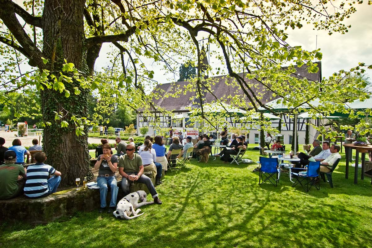 Hofgut Weiherhof, Reiterhof Radolfzell