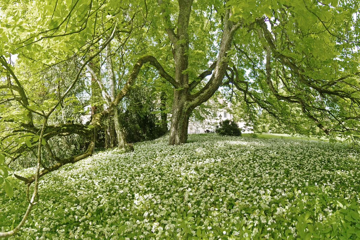 Landschaftsarchitektur